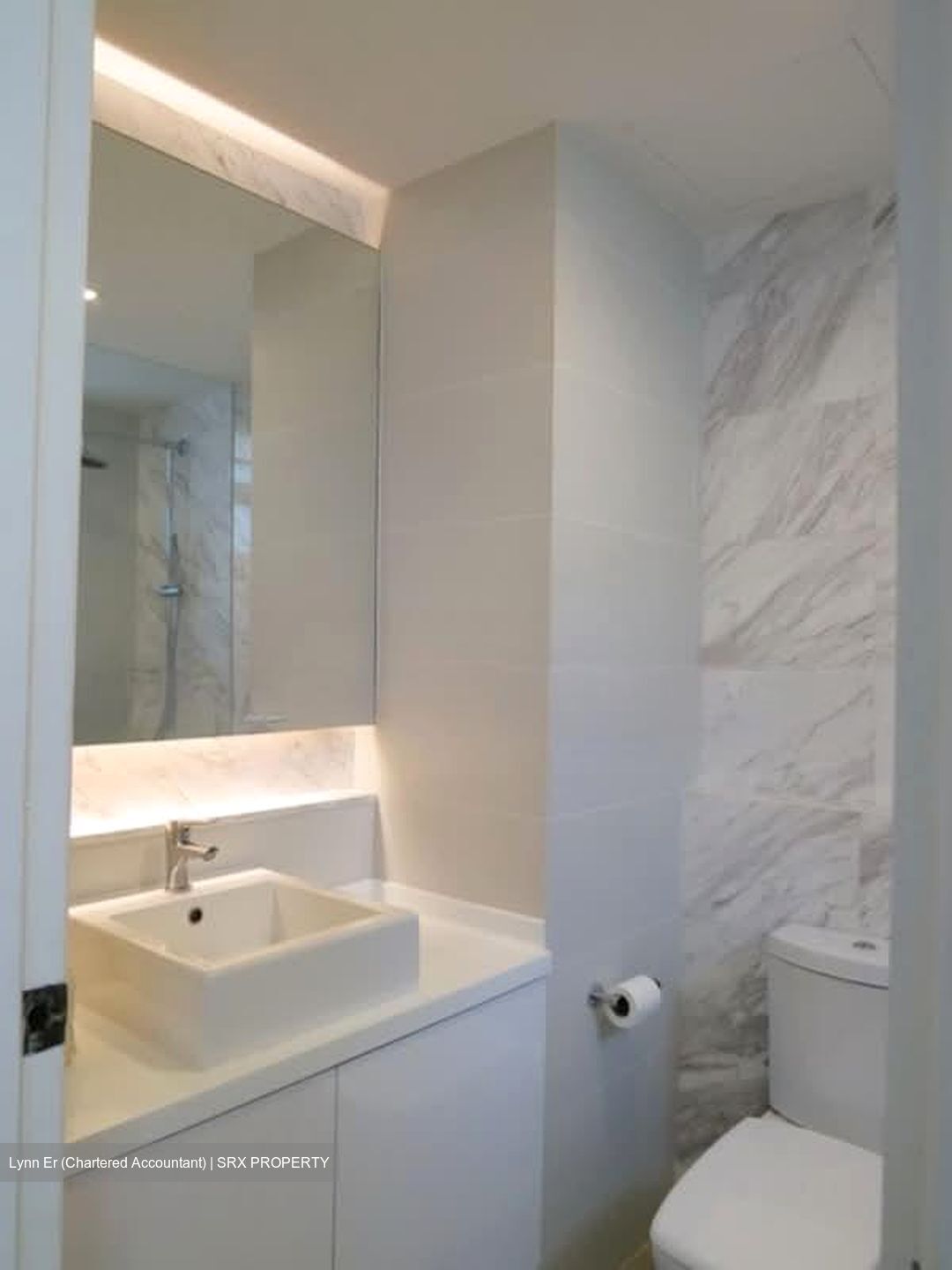 The Park Vale (D11), Condominium #543982541